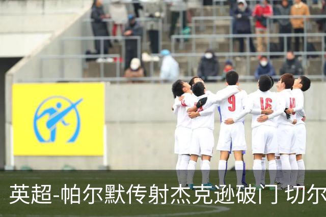 英超-帕尔默传射杰克逊破门 切尔西3-2纽卡斯尔